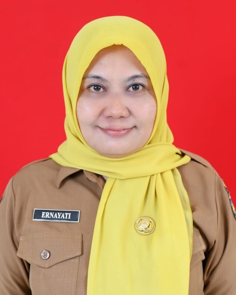 Dummy Guru 6